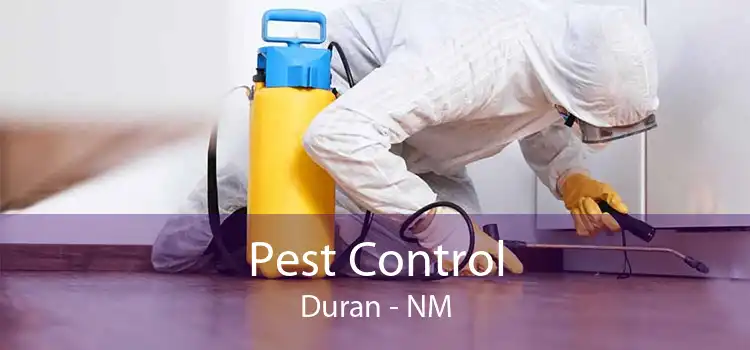 Pest Control Duran - NM