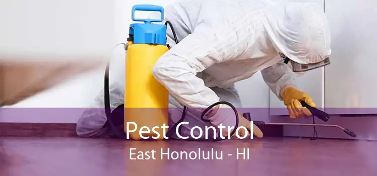 Pest Control East Honolulu - HI