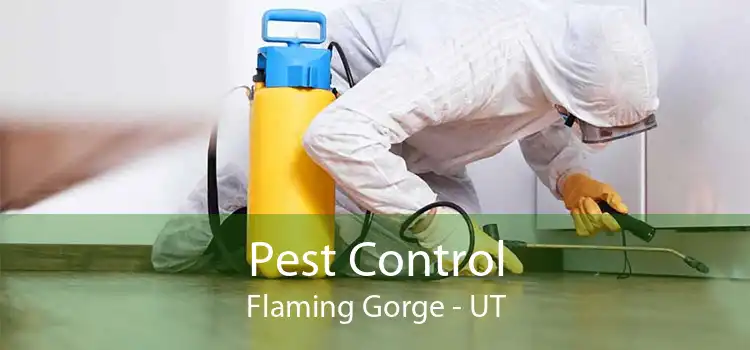 Pest Control Flaming Gorge - UT