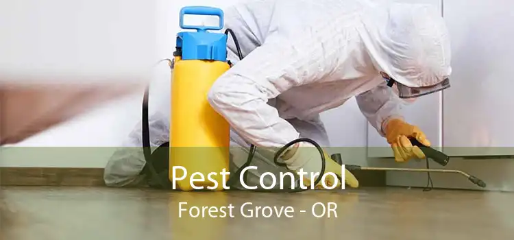 Pest Control Forest Grove - OR