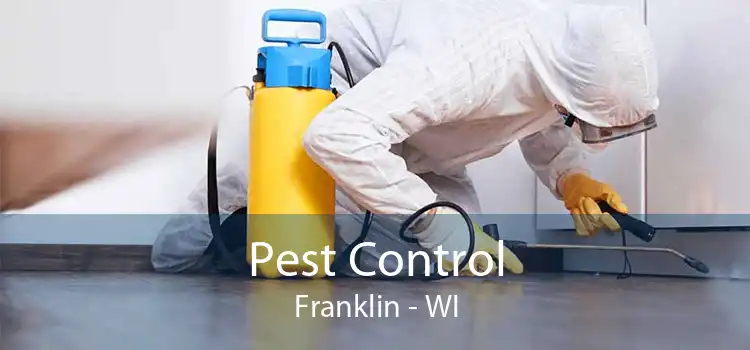 Pest Control Franklin - WI