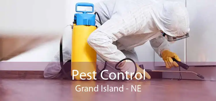 Pest Control Grand Island - NE
