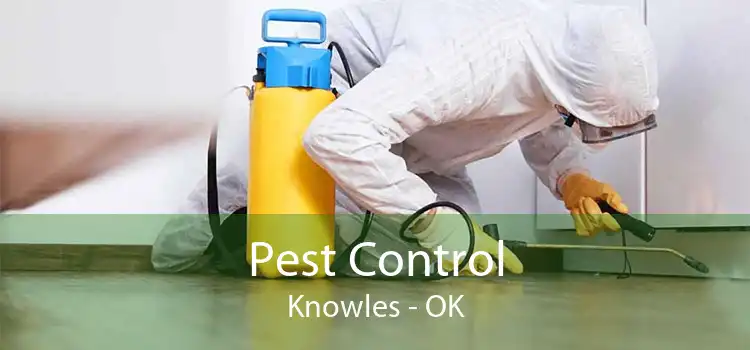Pest Control Knowles - OK