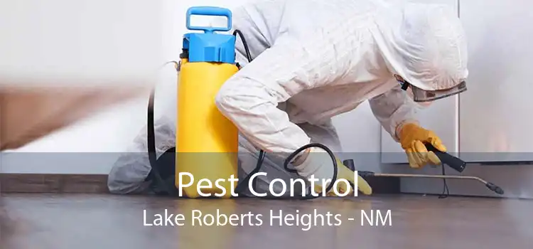 Pest Control Lake Roberts Heights - NM
