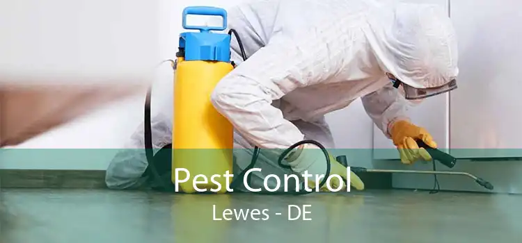 Pest Control Lewes - DE