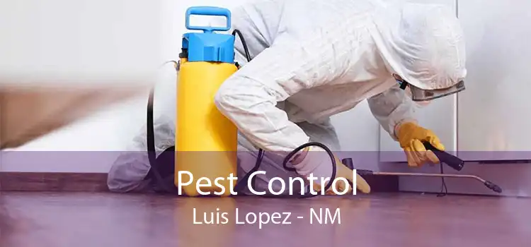 Pest Control Luis Lopez - NM