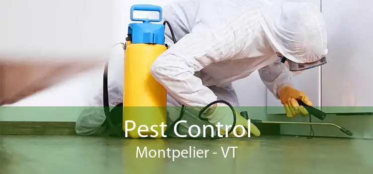 Pest Control Montpelier - VT