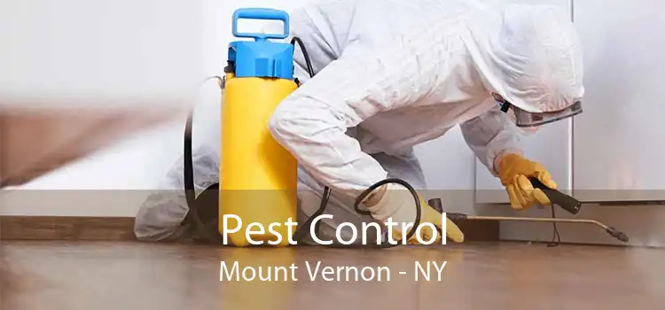 Pest Control Mount Vernon - NY