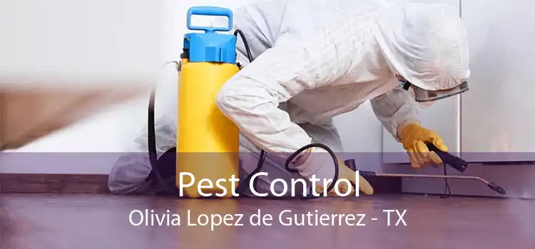 Pest Control Olivia Lopez de Gutierrez - TX