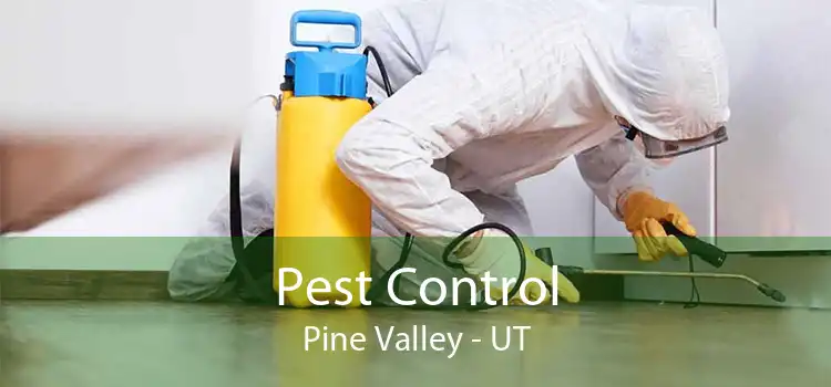 Pest Control Pine Valley - UT