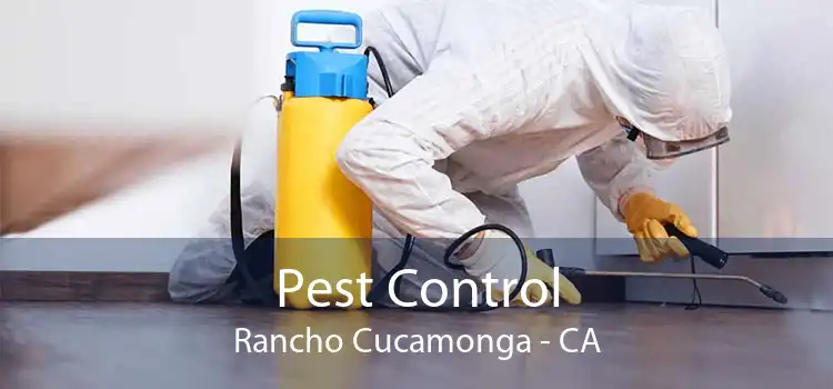 Pest Control Rancho Cucamonga - CA