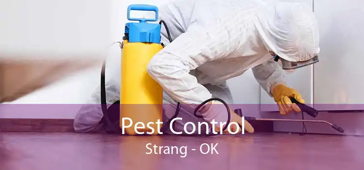Pest Control Strang - OK