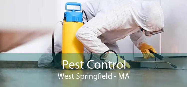Pest Control West Springfield - MA