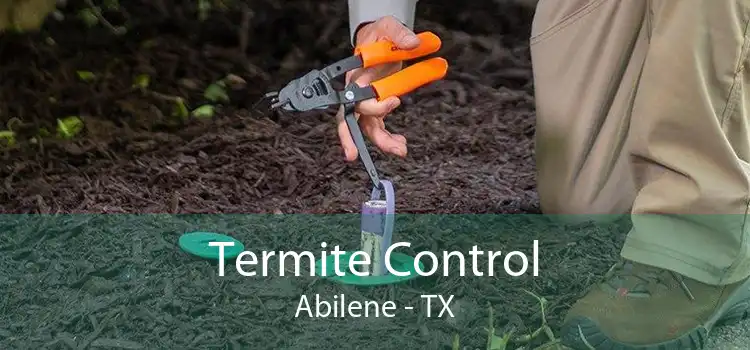Termite Control Abilene - TX