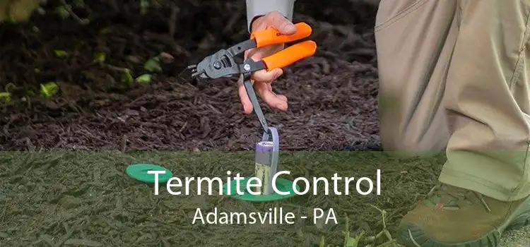 Termite Control Adamsville - PA