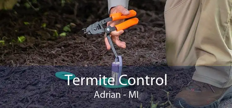 Termite Control Adrian - MI