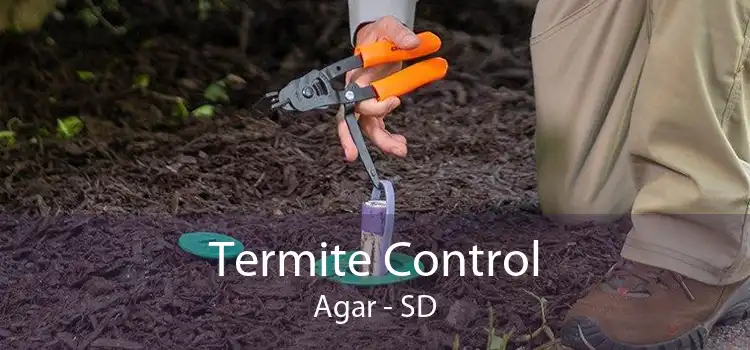 Termite Control Agar - SD