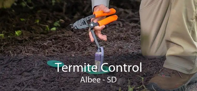Termite Control Albee - SD