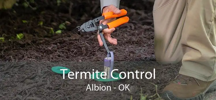 Termite Control Albion - OK