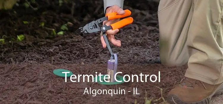 Termite Control Algonquin - IL