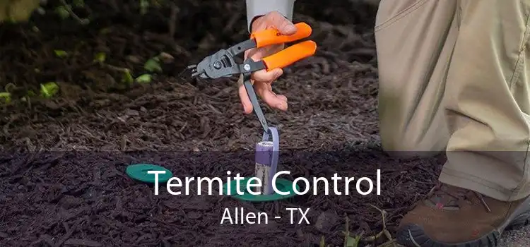 Termite Control Allen - TX