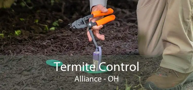 Termite Control Alliance - OH
