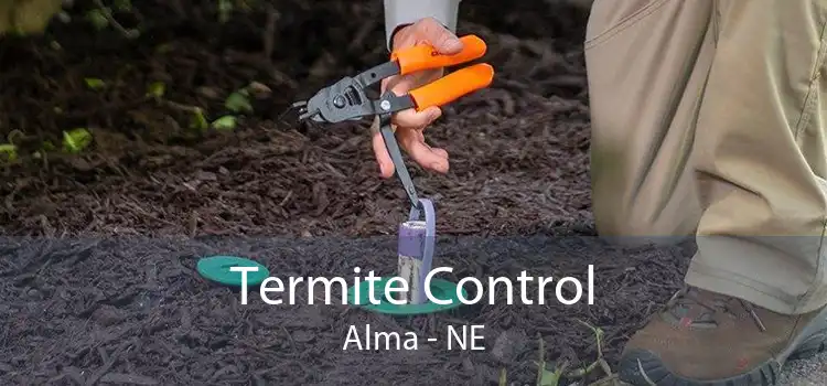Termite Control Alma - NE