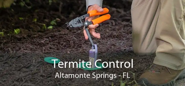 Termite Control Altamonte Springs - FL