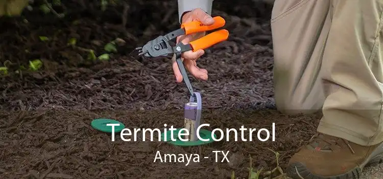 Termite Control Amaya - TX
