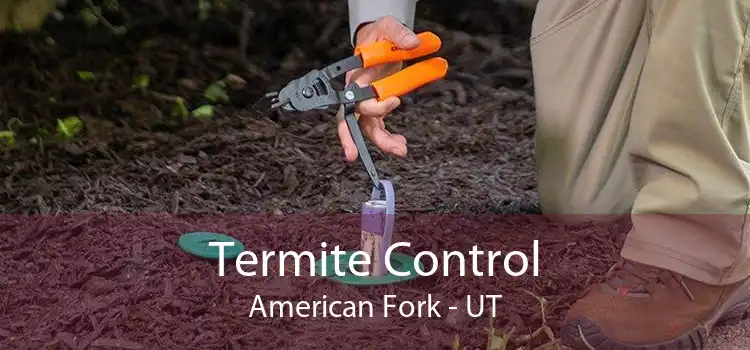 Termite Control American Fork - UT
