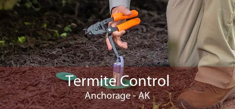 Termite Control Anchorage - AK