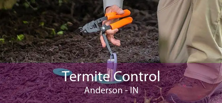 Termite Control Anderson - IN
