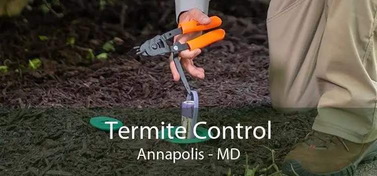 Termite Control Annapolis - MD