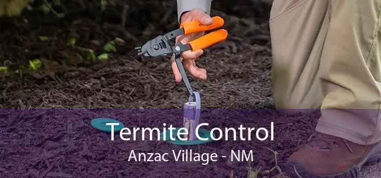 Termite Control Anzac Village - NM