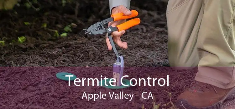 Termite Control Apple Valley - CA