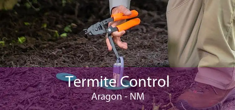 Termite Control Aragon - NM