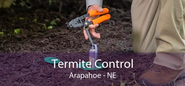 Termite Control Arapahoe - NE