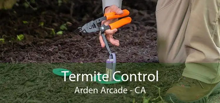Termite Control Arden Arcade - CA
