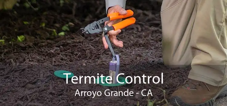 Termite Control Arroyo Grande - CA