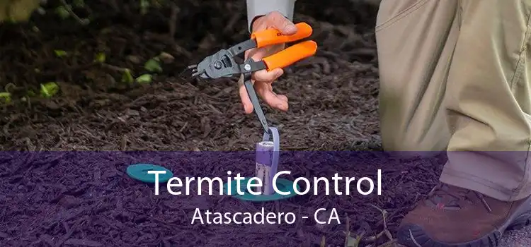 Termite Control Atascadero - CA