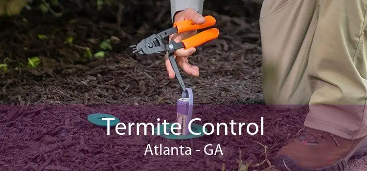 Termite Control Atlanta - GA
