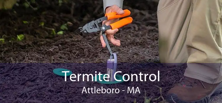 Termite Control Attleboro - MA