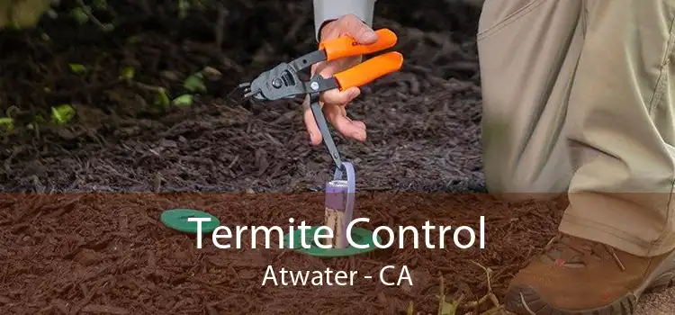 Termite Control Atwater - CA