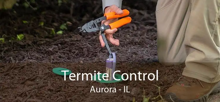 Termite Control Aurora - IL