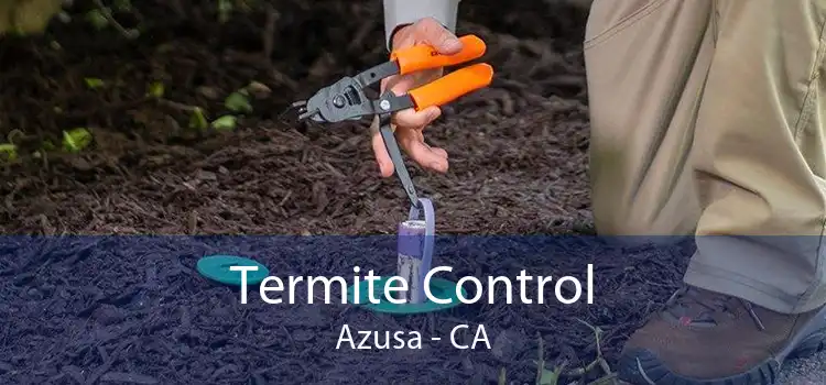 Termite Control Azusa - CA