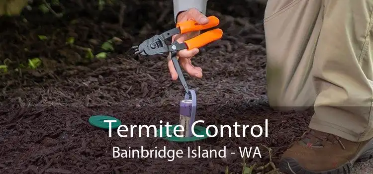 Termite Control Bainbridge Island - WA