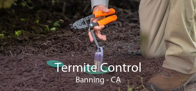 Termite Control Banning - CA