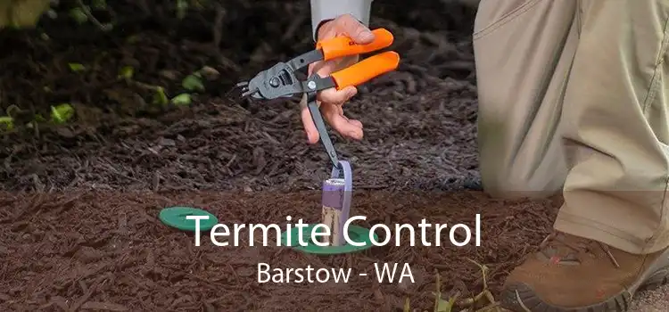 Termite Control Barstow - WA