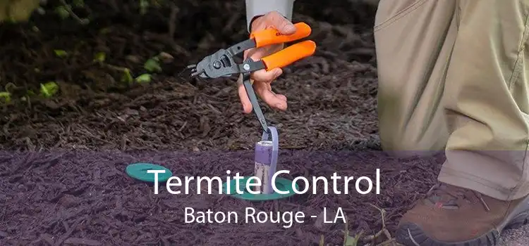 Termite Control Baton Rouge - LA