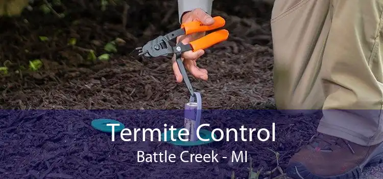 Termite Control Battle Creek - MI